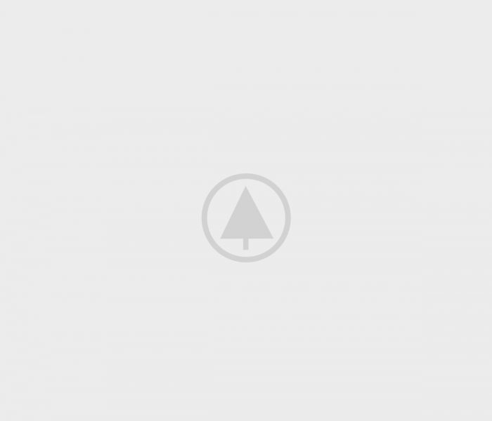 wood-gallery-placeholder-4 wood-gallery-placeholder-4